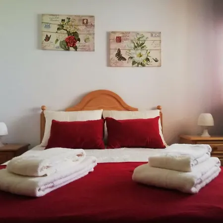 Amoreira - E Piscina Appartement *